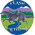 Flash Dog Training Broomfield Colorado