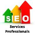 Seo Services Professionals LLC