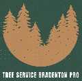 Tree Service Bradenton Pro
