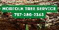 Tree Service Norfolk