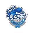 Octopus Home Inspections, LLC