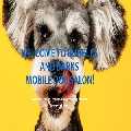 Barks Mobile Dog Grooming Peoria