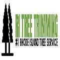 RI Tree Trimming
