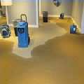 Violet Water Damage Restoration Chicago