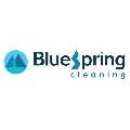 BlueSpring Cleaning Logo