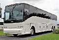 Elite Party Buses Rental