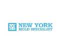 New York Mold Specialist - Mold Inspection, Removal & Remediation in N
