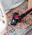 Fresh & Clean Carpet Care Experts