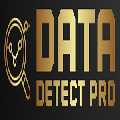 Data Detect Pro LLC