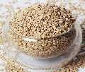 How to Become Natural Sesame Seeds Supplier in Indonesia?
