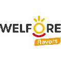 WelFore Flavors Health & Wellness Smoothie Bar
