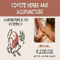 Coyote Herbs and Acupuncture