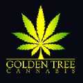 Golden Tree Cannabis Weed Dispensary Brampton