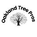 Oakland Tree Pros Allen Park