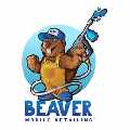 Beaver Mobile Detailing