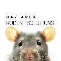 Bay Area Rodent Solutions