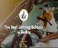 DriverZ SPIDER Driving Schools – Dallas