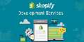 Best Shopify Development Company in India