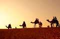 Affordable Tour Packages Jaisalmer