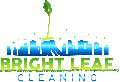 Bright Leaf Cleaning
