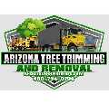 Arizona Tree Trimming & Removal Scottsdale