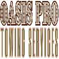 Oasis Pro Towing Services