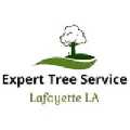 Lafayette LA Tree Service Pros