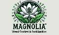 Magnolia Weed Control and Fertilization