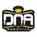 DNA Genetics