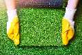 Thornton Artificial Turf