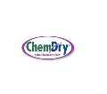 Chem Dry Executive