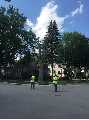 Green Bay Tree Service