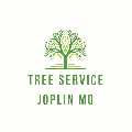 Tree Service Joplin MO