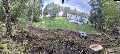 Chilel’s Brookline Tree Service