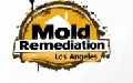 Mold Remediation Los Angeles