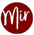 Mir Physical Therapy