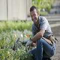 Grace Gardeners