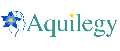 Aquilegy