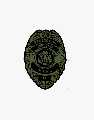 HALL SECURITY PROFESSIONAL SERVICES