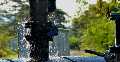 Water Pump Repair Ltd