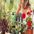 Gardening Services