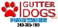 GUTTERDOGS Affordable Soft Power Washing & Safe Roof Cleaning