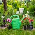 Garden Landscapes