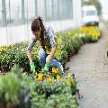 Lawn Mowing Services