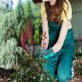 Grass Cutting Service