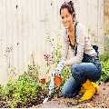 Garden Services