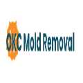 OKC Mold Removal