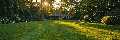 Wallingford Landscaping