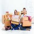 Man Van Removals