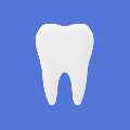 The Dental SEO Group